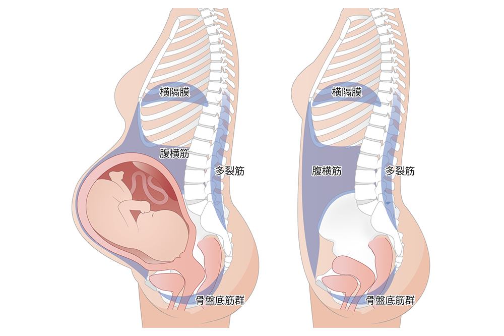 出産後のお母さん、以下のお悩みはありませんか?